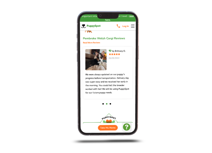 device mockup of puppyspot consumer website