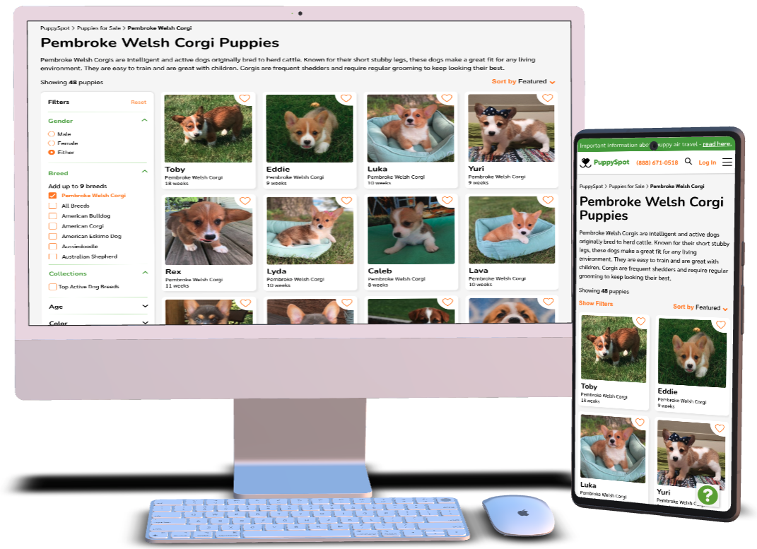 device mockup of puppyspot consumer website